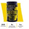 43 CREATINA BOTE 1 KG 200 SERVICIOS